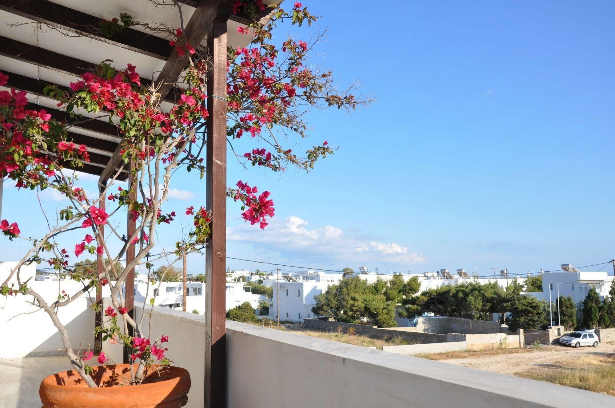Michalis Apartments Near The Beaches With Sea View Páros Dış mekan fotoğraf